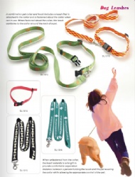 Fashionable nylon dog leash