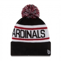 Knitted Beanie with Pom