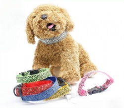 USB Rechargeable LED Pet Dog Collar