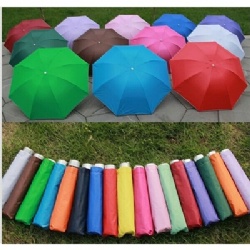 Two Folded Umbrella