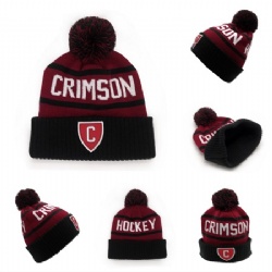 Knit Heathered POM Beanie with Cuff for Hats caps